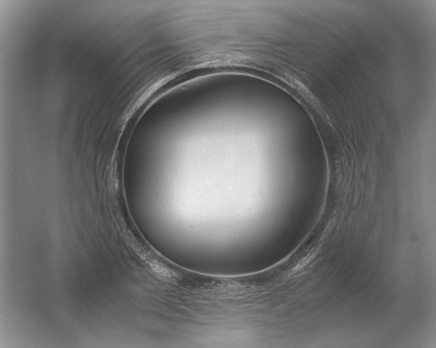 X0000061720885200512161552