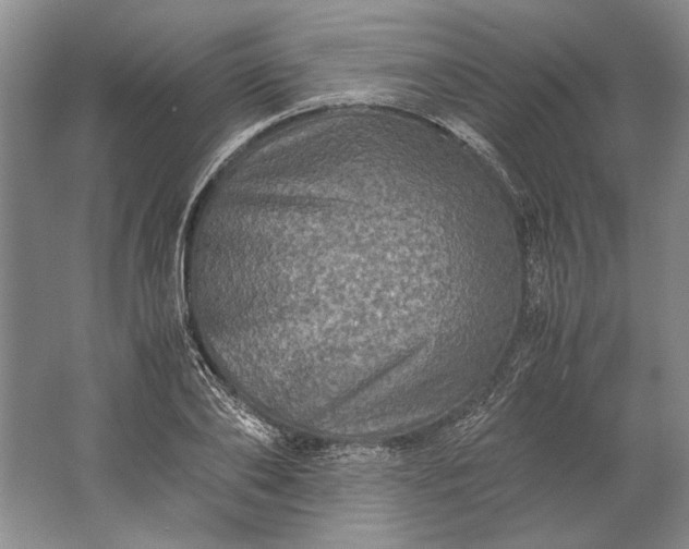 X0000061720886200512161552