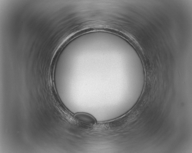 X0000061720887200512161552