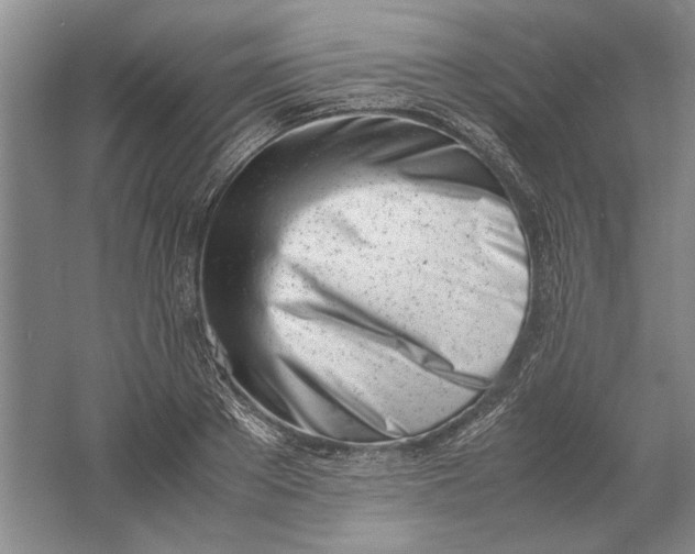 X0000061720889200512161552