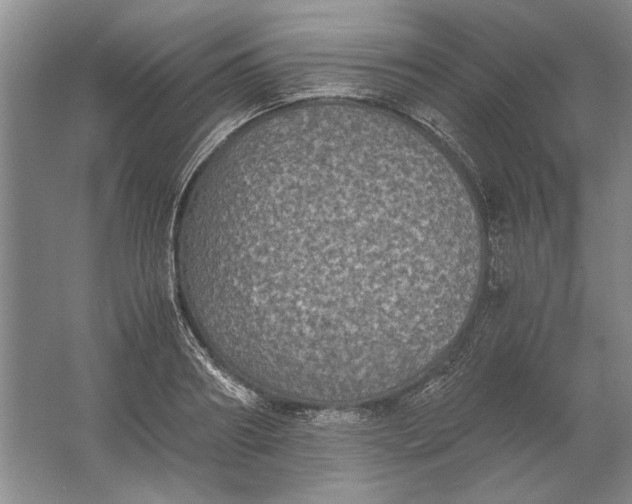 X0000061720890200512161552