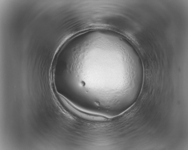 X0000061720891200512161552