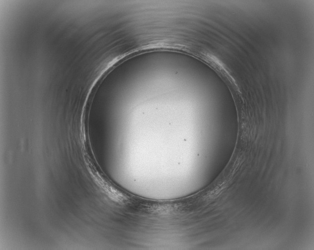 X0000061720892200512161552