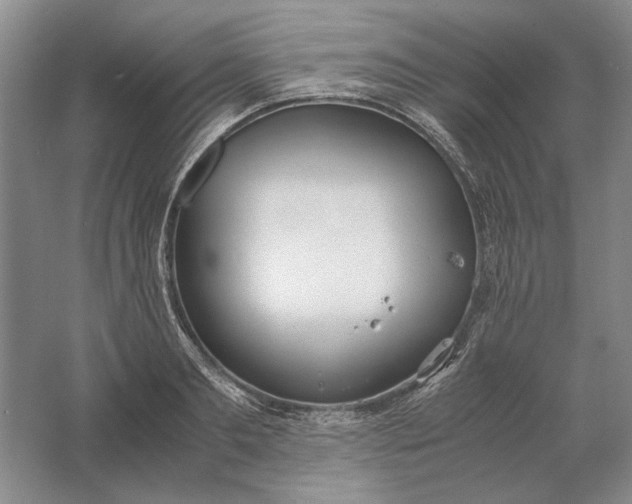 X0000061720893200512161552