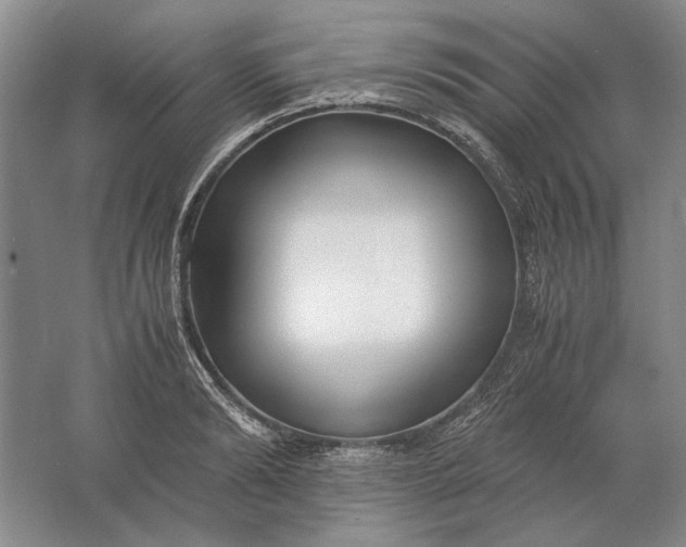 X0000061720894200512161552