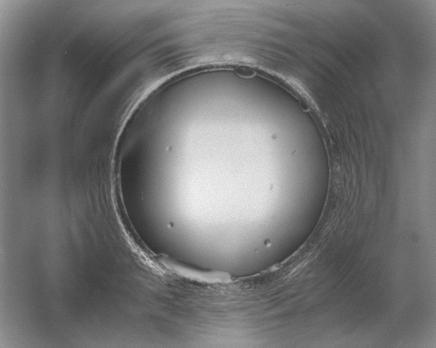 X0000061720895200512161552