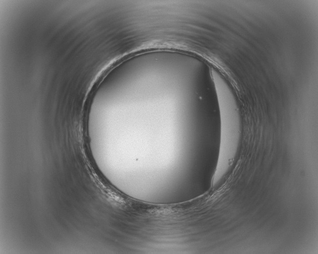 X0000061720896200512161552