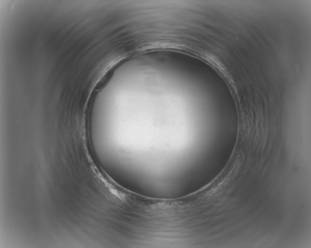 X0000061720898200512161552