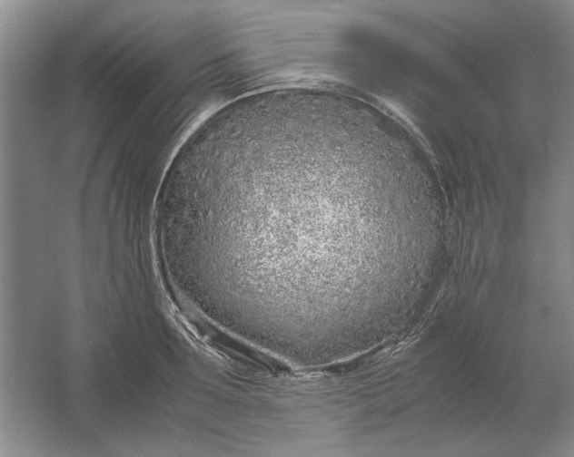 X0000061720899200512161552