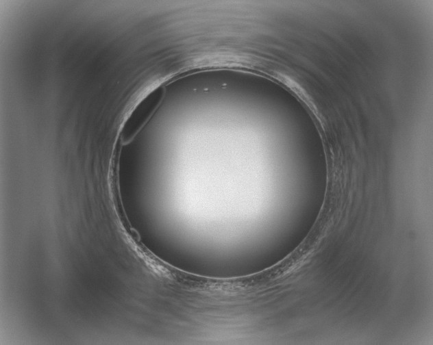 X0000061720901200512161552