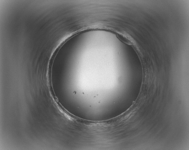 X0000061720902200512161552