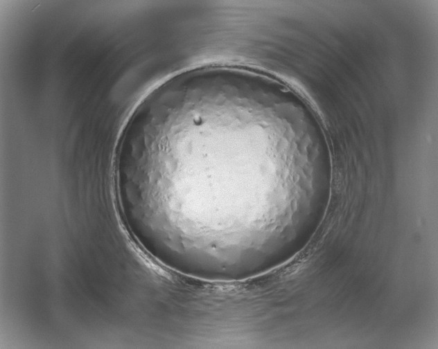 X0000061720903200512161552