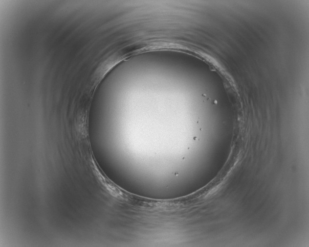 X0000061720905200512161552