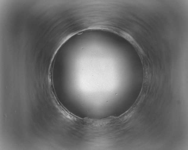 X0000061720908200512161552