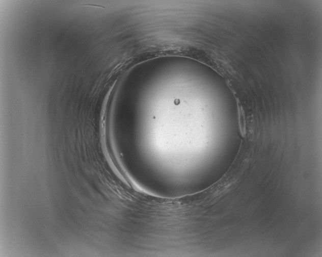 X0000061720916200512161551