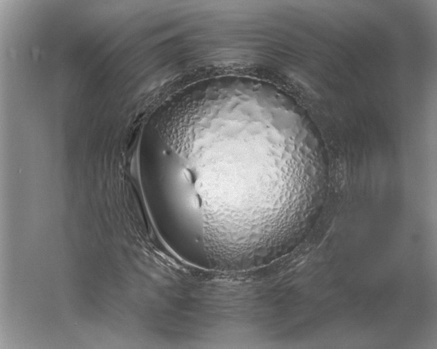 X0000061720917200512161551