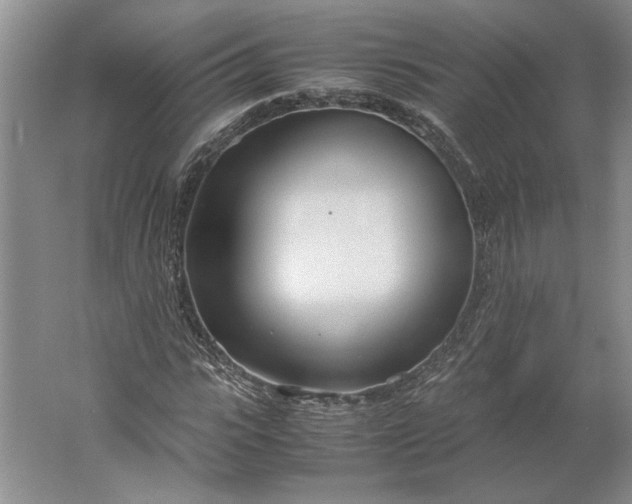 X0000061720919200512161551