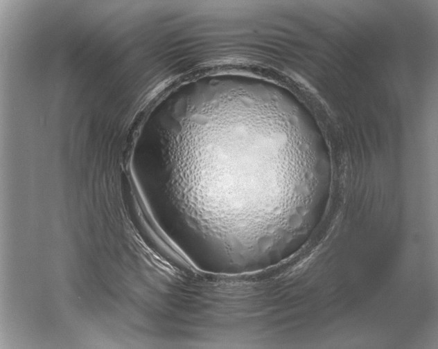 X0000061720921200512161551