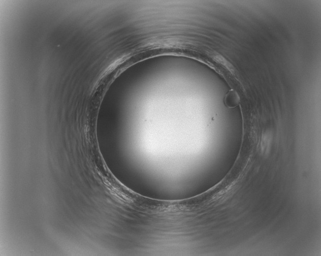 X0000061720922200512161551