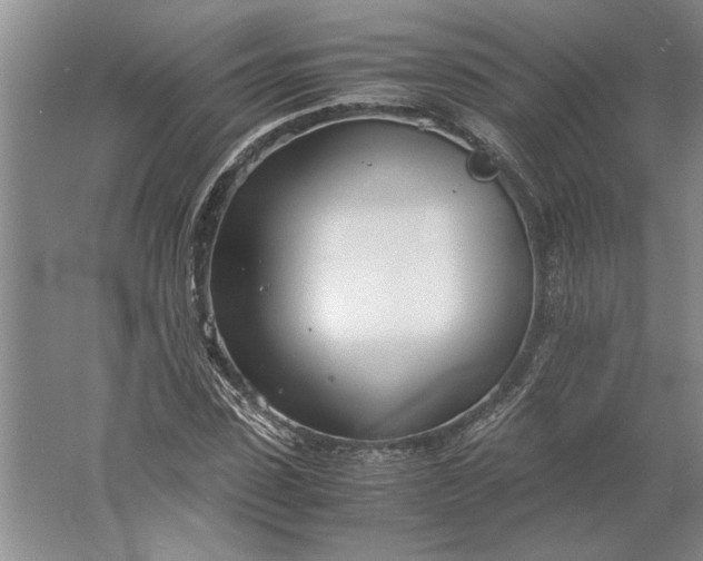 X0000061720923200512161551