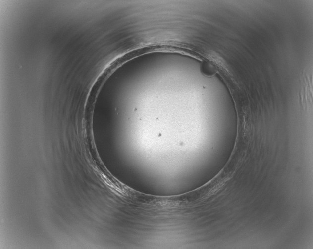 X0000061720924200512161551