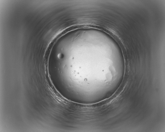 X0000061720925200512161551