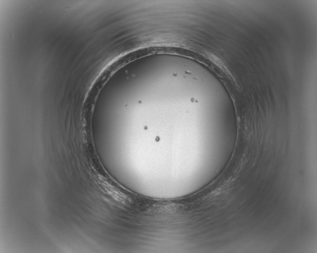 X0000061720926200512161551