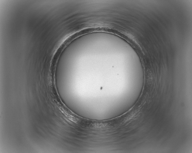 X0000061720927200512161551