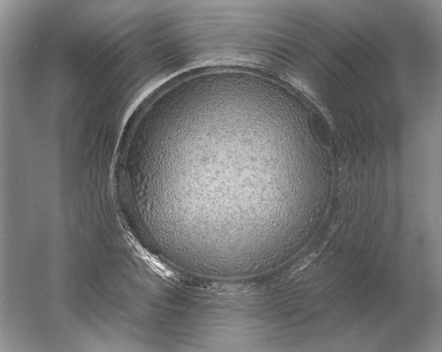 X0000061720928200512161551