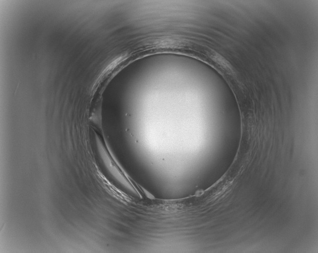 X0000061720930200512161551