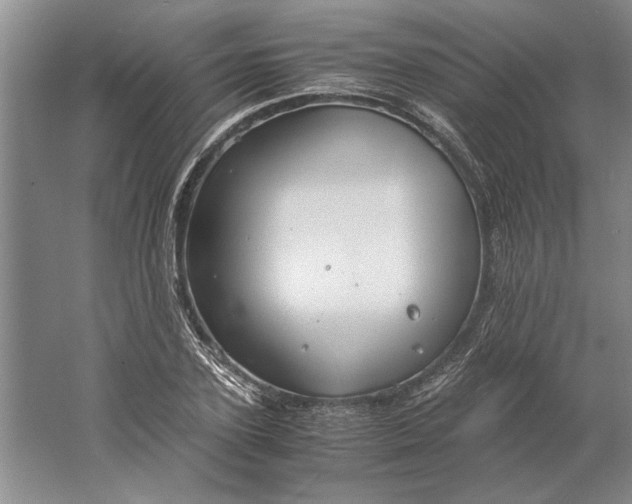 X0000061720931200512161551