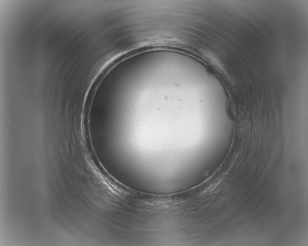 X0000061720932200512161551