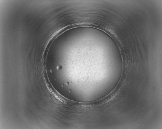 X0000061720933200512161551