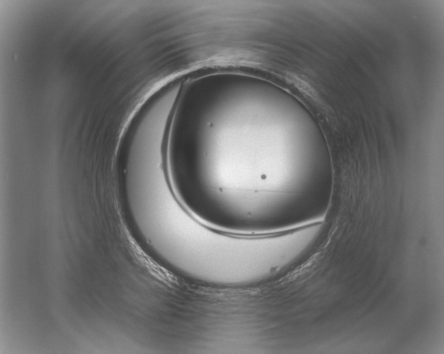 X0000061720934200512161551