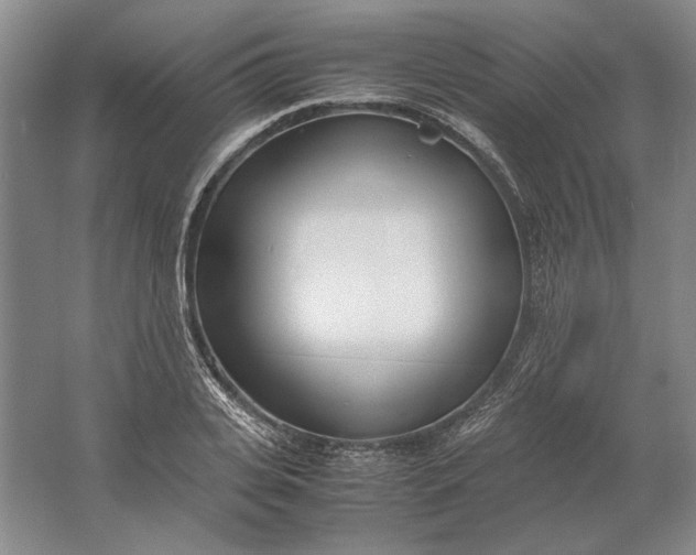 X0000061720935200512161551