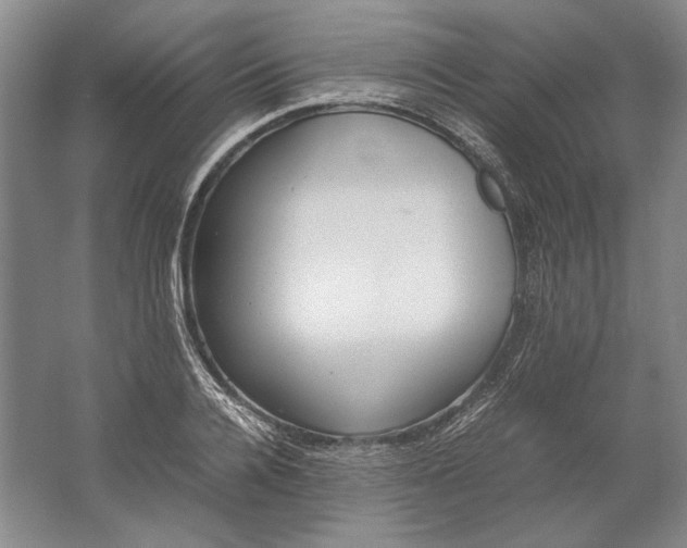 X0000061720936200512161551