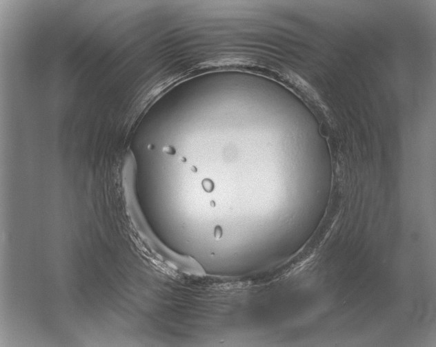 X0000061720937200512161551