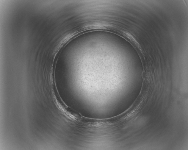 X0000061720938200512161551