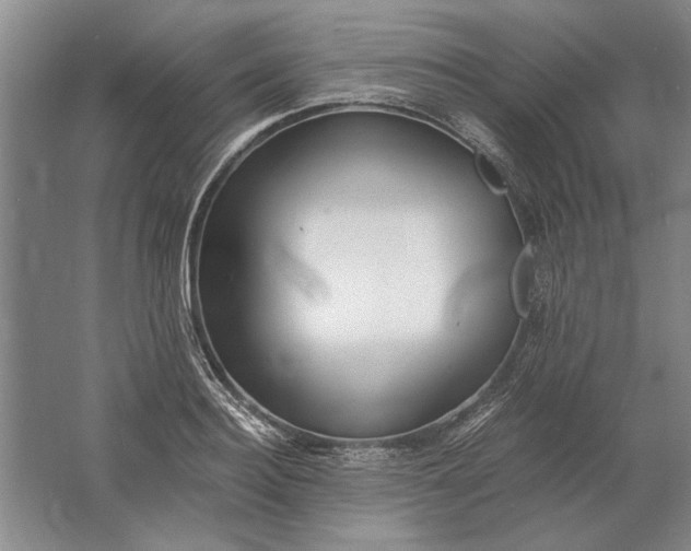 X0000061720940200512161551