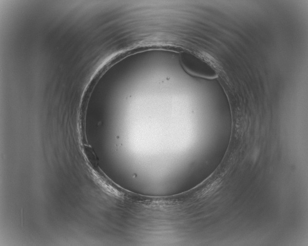 X0000061720942200512161551