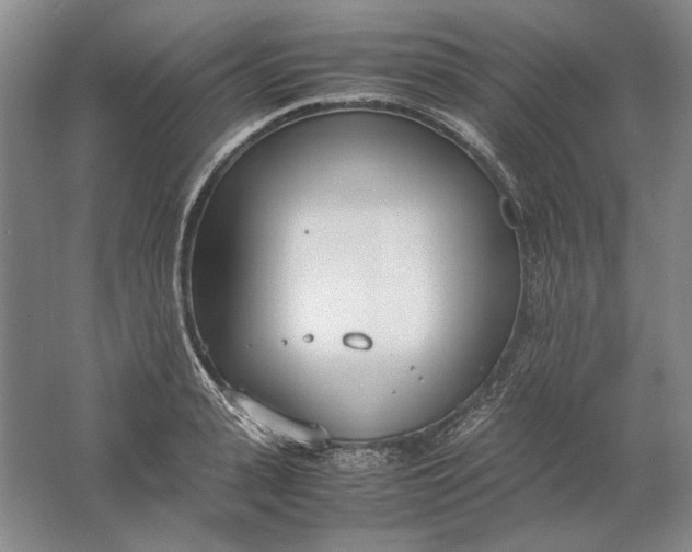 X0000061720943200512161551