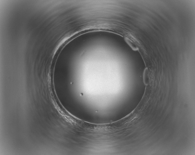 X0000061720944200512161551