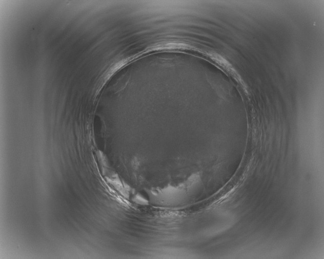 X0000061720945200512161551