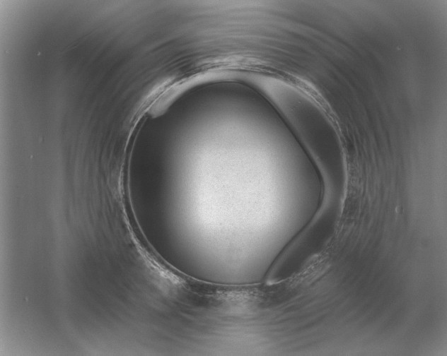 X0000061720946200512161551