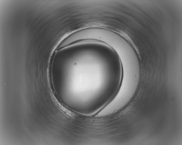 X0000061720947200512161551