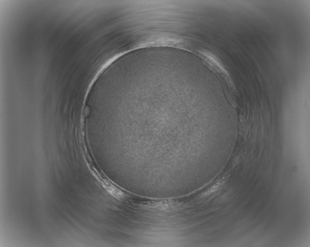 X0000061720948200512161551