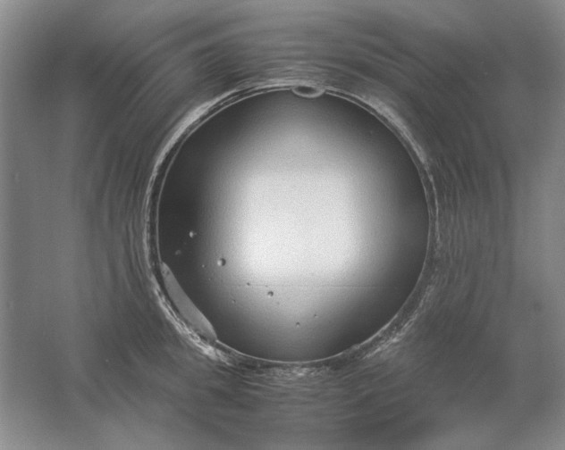 X0000061720949200512161551