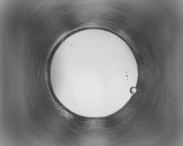 X0000061720950200512161551