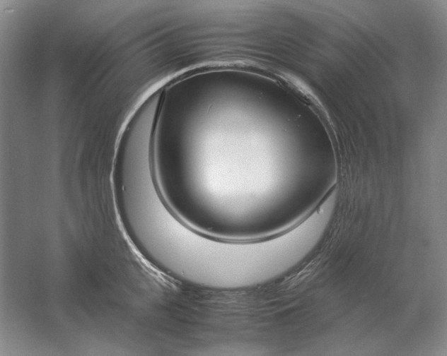 X0000061720951200512161552