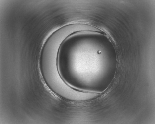 X0000061720952200512161552